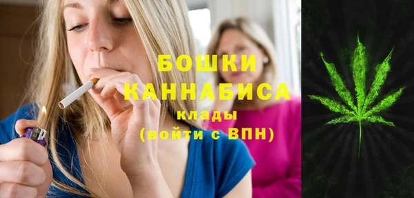 стафф Лабытнанги