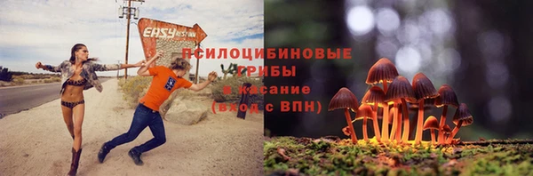 сатива Алексеевка