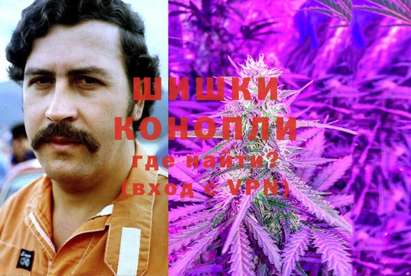мет Алексин