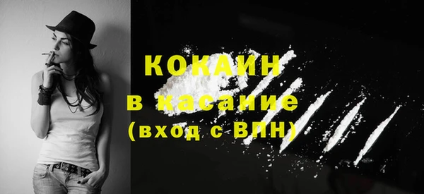 сатива Алексеевка