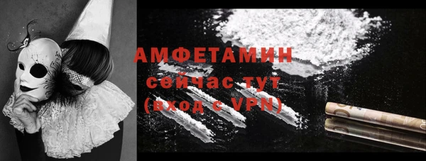 мет Алексин