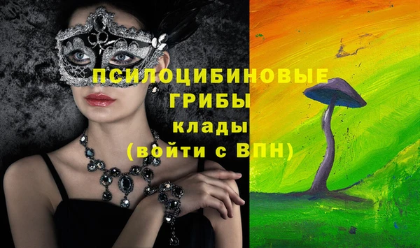 сатива Алексеевка