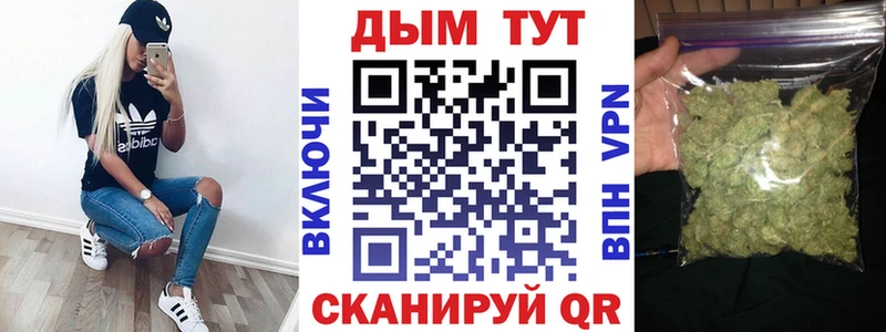 Бошки Шишки семена Лаишево